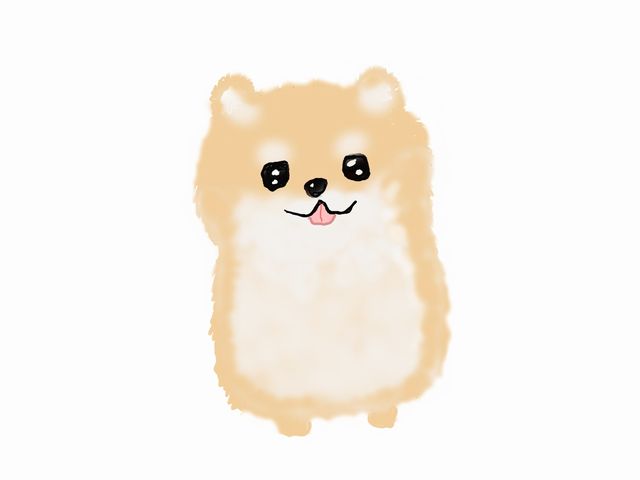 ブッチで一変！愛犬との日々が変わるドッグフード選びの秘訣